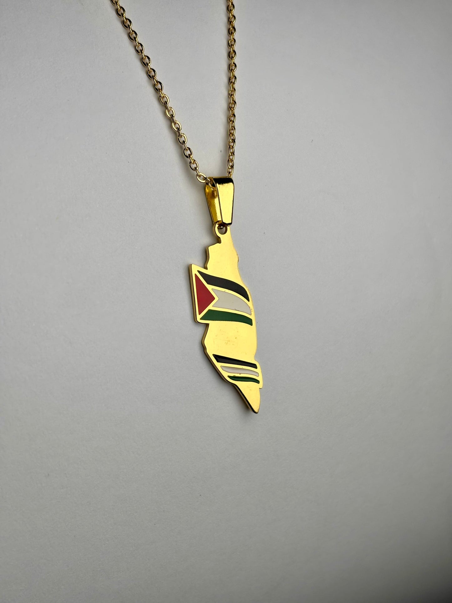Palestine Map Necklace With Palestine Flag Accent [Golden]