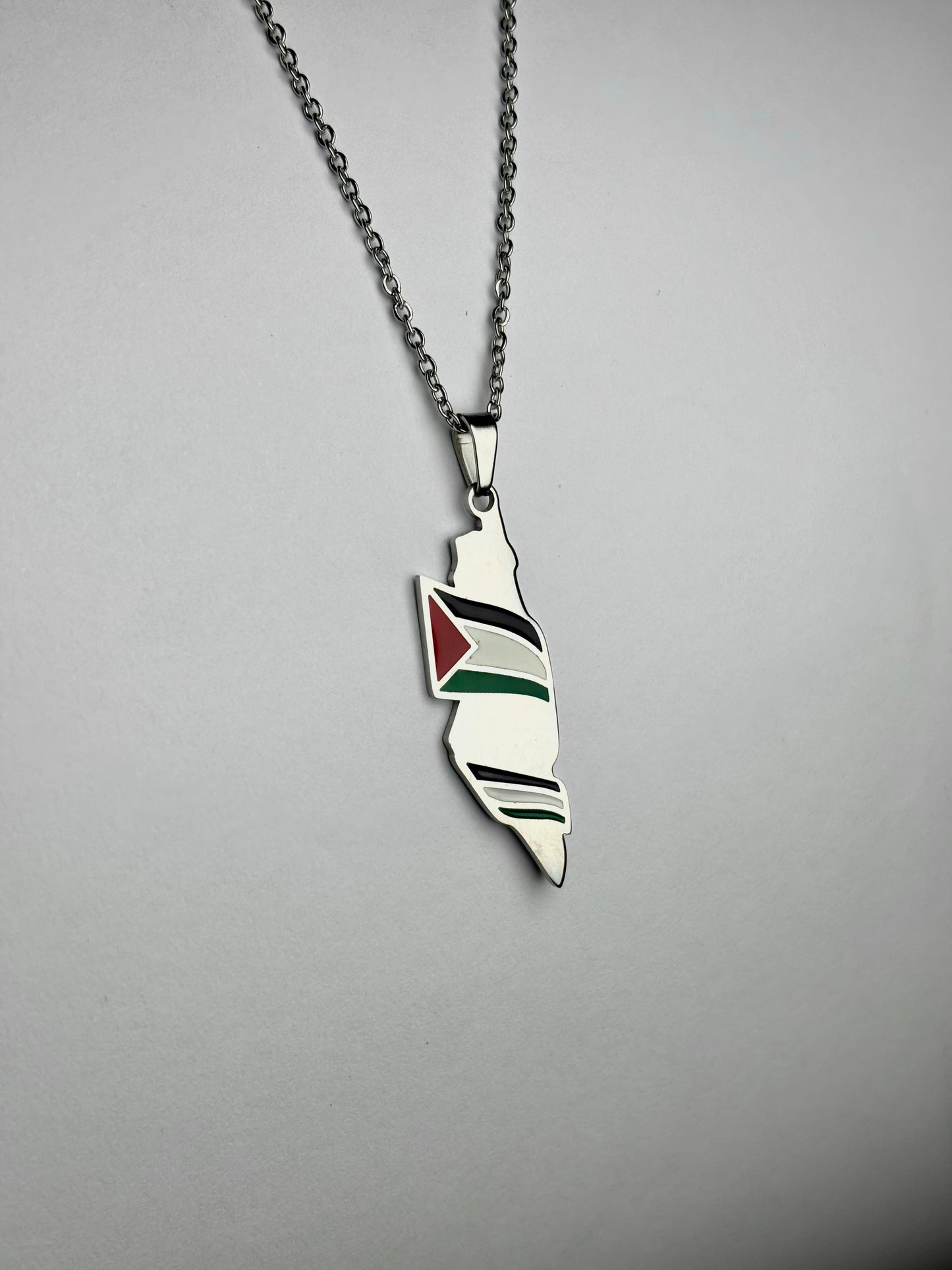 Palestine Map Necklace With Palestine Flag Accent